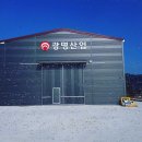 명성기획 이미지