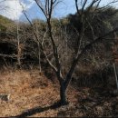 적량면사무소 이미지