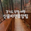 행복한꽃누르미 | 경기도 12월 산음자연휴양림 치유의숲에서 누리는 따뜻한 숲속 힐링
