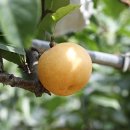 대종2리 이미지