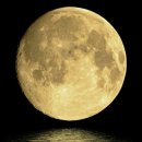 3층행복약국 이미지