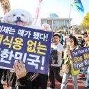 비전동물병원 이미지