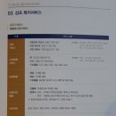 골든트리라이프
