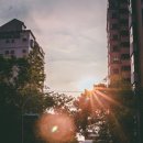 한가한 오후 이미지