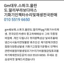 gm.스파크올란도말리부라보다마스가스차.lpg기화기인젝터수리&인젝터수리및재생품취급판매●***.****.****● 이미지