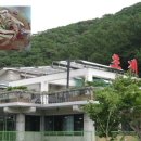 초리골초계탕 이미지