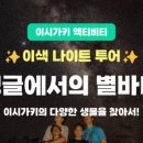 찬스성인나이트