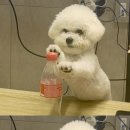 몽아뜨 네이버블로그