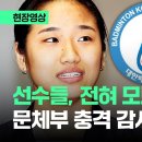 한국 체육계 근황 이미지