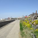 가파초등학교 이미지