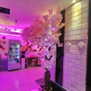 송이 노래연습장 이미지