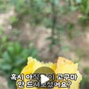 사남매농장2 이미지