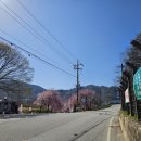 거창-남상-10 이미지