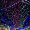 제3회 부산 희망드림"빛축제"[2024년 1월 13일(음: 12월 3일)일출 7시 47분.일몰17시34분] 이미지