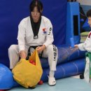 호신태권도 이미지