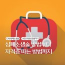 이태원전원가든 | 이태원참사 후, 나는 심폐소생술을 배웠다. CPR 자격증 취득방법, 교육받는법/대한심폐소생협회
