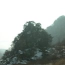 구만리 어룡동 Daum카페