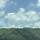봉평메밀촌 | 강원도 평창 여행 추천 봉평메밀촌/대관령 하늘목장 방문 후기