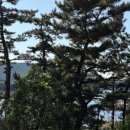 스노클비치호텔 이미지