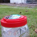 로뎀나무아래 이미지