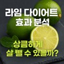 [FD10] 라임 다이어트 효과 분석: 상큼하게 살 뺄 수 있을까?