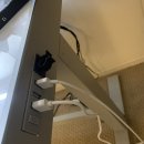 Standing adjustable desk 높이조절 책상 , 의자, 삼성 모니터 이미지