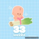 [임신 후기 32주~33주] 자궁경부 이슈, 아기방 정리, 브라질리언 왁싱