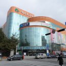 엑스포로123번길(유성-108) 네이버블로그
