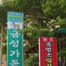 금성가든 이미지