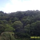 금곡리 용담사 입구 이미지