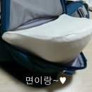유진앤코 이미지