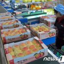 옥천군 농산물산지유통센터 이미지