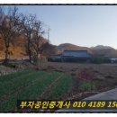 화심농장 이미지