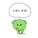 뉴팜 | 브리즈번 카페 후기 - 뉴팜 Idle - 당신의 돈과 시간을 아껴드림