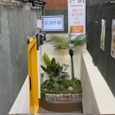 망원동맛집 ‘호키엔미’ 페낭식 새우탕면 카레탕면 딤섬추천 말레이시아음식 이색데이트코스