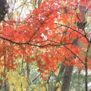 장성마을 이미지