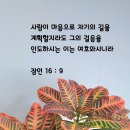 프런티어 정신 이미지