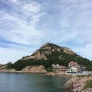 장자도관광안내소 네이버블로그