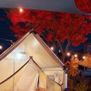 759 | [용인 셀프바베큐] 용인캠핑식당 바베큐, 더 컨테이너759