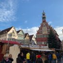 독일 남부 에슬링엔 겨울 나들이(Esslingen am Neckar)