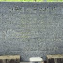 신촌교 Daum카페
