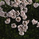 내동초등학교 이미지