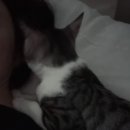 김마루 이미지