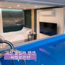 괴산 씨엘로펜션 / 청주근교 괴산 펜션 프라이빗한 미온수풀 풀빌라 후기