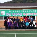 동면게이트볼장 이미지