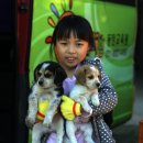 헤브론농장 이미지