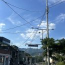 부암동주민센터 입구 | [부암동] 유럽 감성의 유리 온실/테라스 카페 &#39;뻬르떼 (Per Te)&#39; (정원, 내부, 분위기)