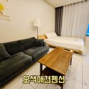 애견펜션하루강아지 | 김천 오봉저수지 근처 숙소 오색애견펜션 강아지 없이 방문 후기