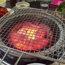 참곰장어 이미지