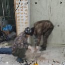 부성언치과의원 네이버블로그